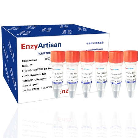 HyperScript III 1st Strand cDNA Synthesis Kit with gDNA Remover