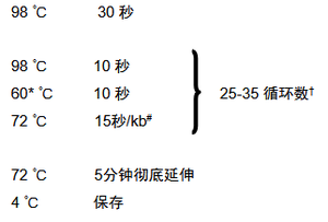 111.png