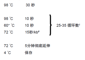 44.png